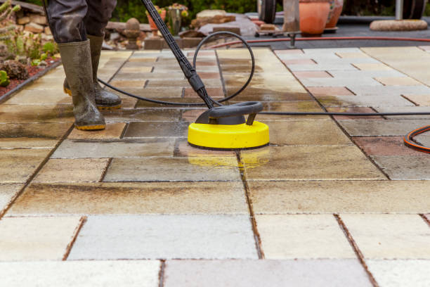 Best Animal Enclosure Cleaning  in Allyn, WA